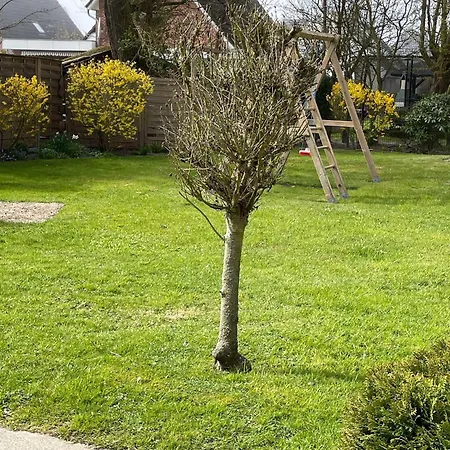 Feriengarten-buesum-c16 Apartment